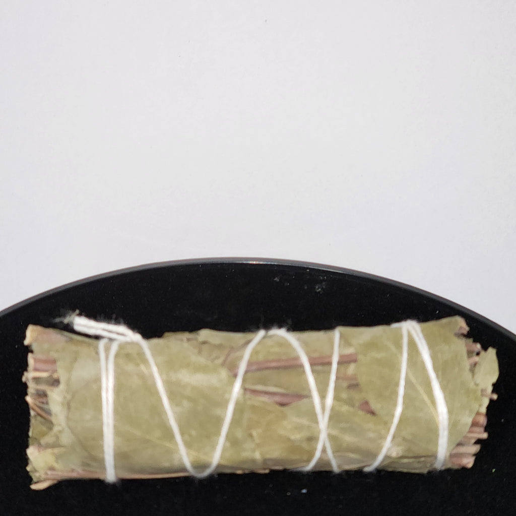 Eucalyptus & White Sage Smuge Stick