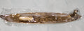 Bronze Asian Fisherman Incense Holder